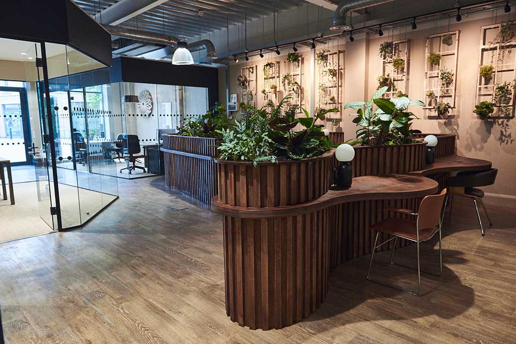 Biozone Dsc 3003 (1)